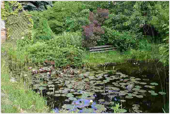 2010-06-20-1416.jpg