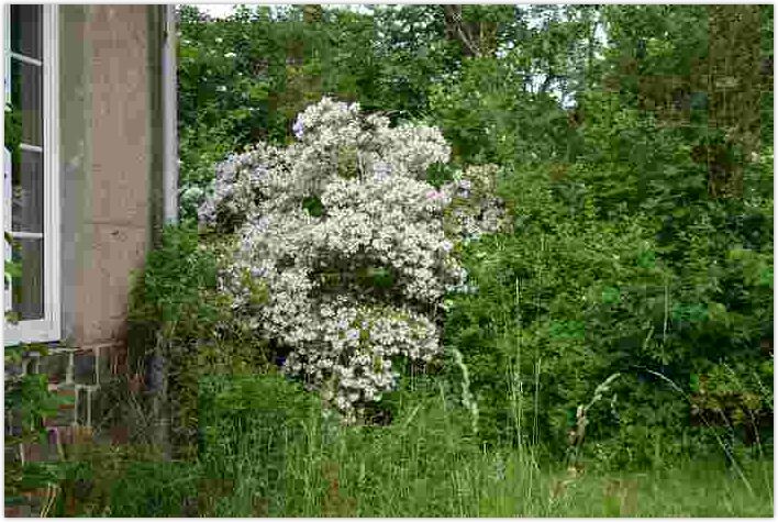 2010-06-20-1431.jpg