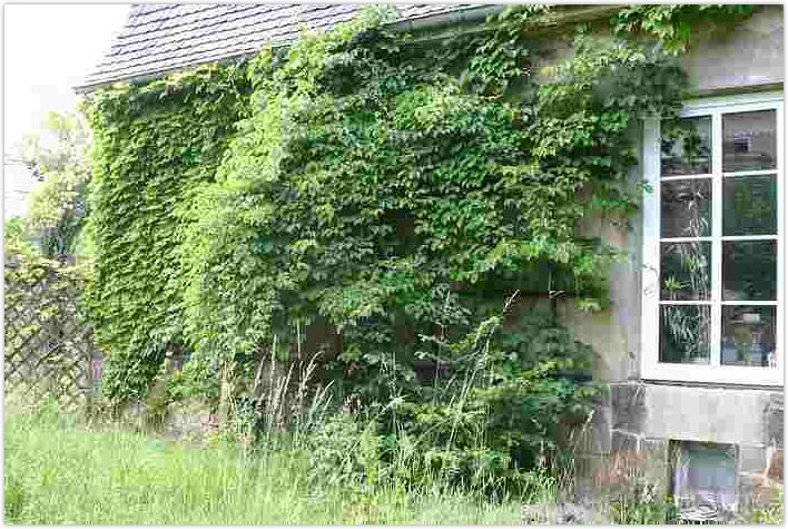 2010-06-20-1433.jpg