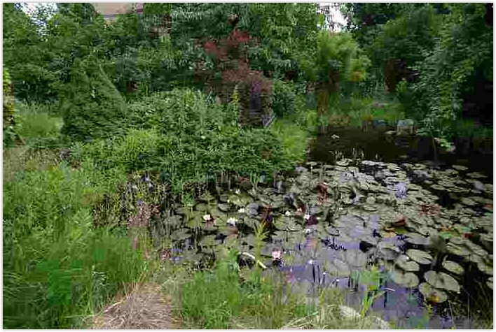 2010-06-20-1443.jpg