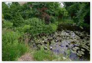 2010-06-20-1443.jpg