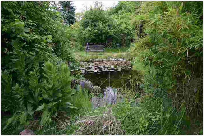 2010-06-20-1457.jpg