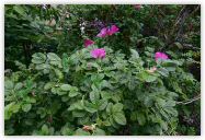 2010-06-20-1458.jpg
