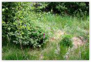 2010-06-21-1424.jpg