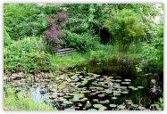 2010-06-21-1428.jpg