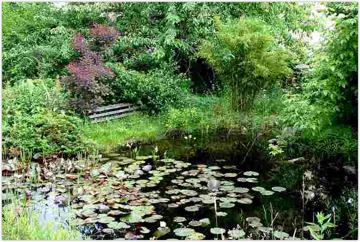 2010-06-21-1429.jpg