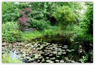 2010-06-21-1429.jpg