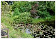 2010-06-21-1430.jpg