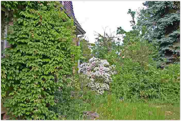 2010-06-21-1438.jpg