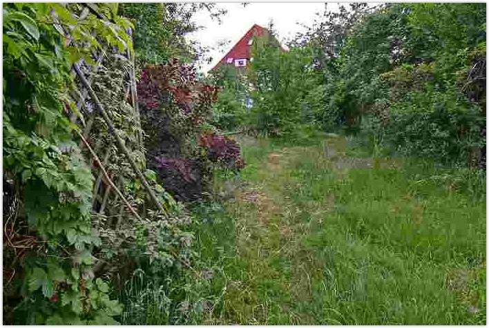 2010-06-21-1445.jpg