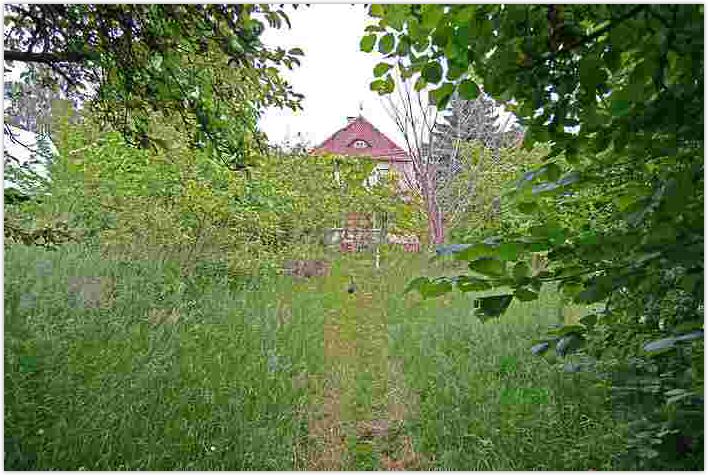 2010-06-21-1446.jpg