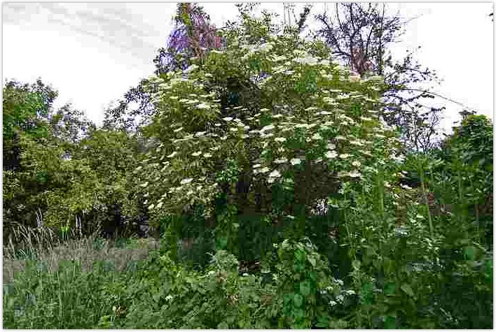 2010-06-21-1450.jpg