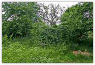 2010-06-21-1454.jpg