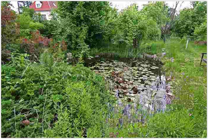 2010-06-21-1462.jpg