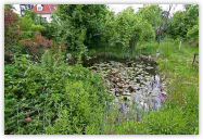 2010-06-21-1462.jpg