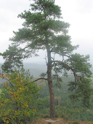 106-0609_IMG.JPG