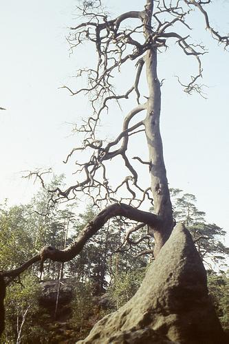 File1601.jpg