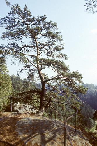 File1602.jpg
