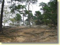 105-0584_IMG.JPG