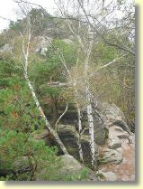 105-0596_IMG.JPG
