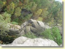 105-0598_IMG.JPG