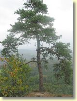 106-0609_IMG.JPG