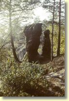 File1600.jpg