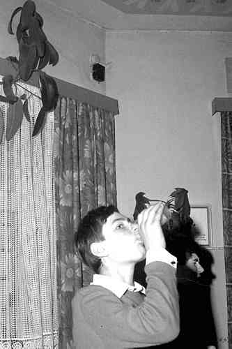 File1227.jpg