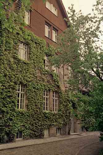 File0559.jpg