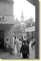 File1199.jpg