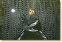 File1112.jpg