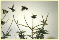 2009-07-12-9957-B.jpg