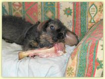 2006-03-19-3612-g5.jpg
