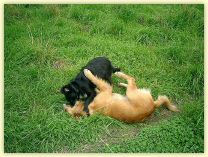 2006-09-02-0053-EX.jpg