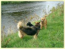 2006-09-02-0065-EX.jpg