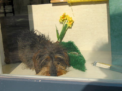 moritz3.jpg