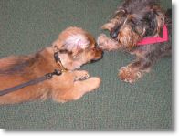 coco1_14-4-03.jpg