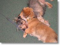 coco2_14-4-03.jpg