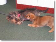 coco3_14-4-03.jpg