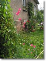 137-3737_IMG.JPG