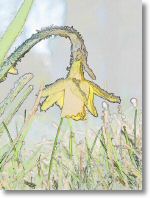 128-2838_IMG_grafisch_Kopie.jpg