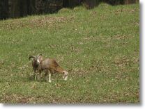2006-04-23-3675-b.jpg
