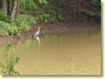 2005-06-07-2138-g5-B1.jpg