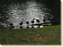 2002-07-19-135-3569_IMG1.jpg