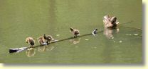 2003-07-14-167_6736-b1.jpg
