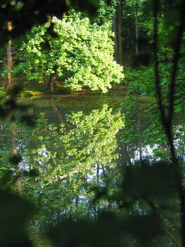 158_5892.jpg