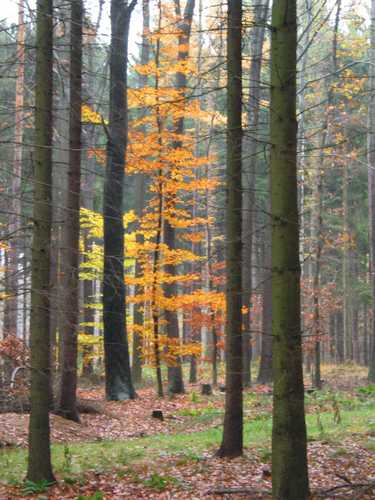 110-1022_IMG.JPG