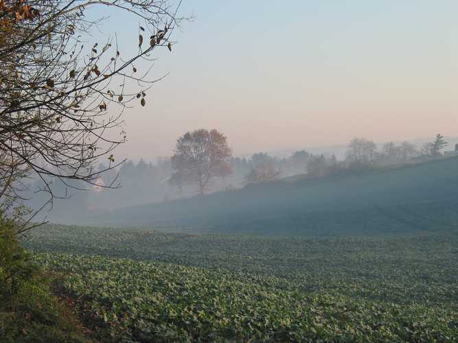 146-4650_IMG.JPG