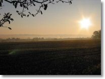 146-4635_IMG.JPG