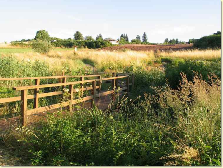 2008-07-04-7169.jpg